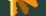 nested space l31
